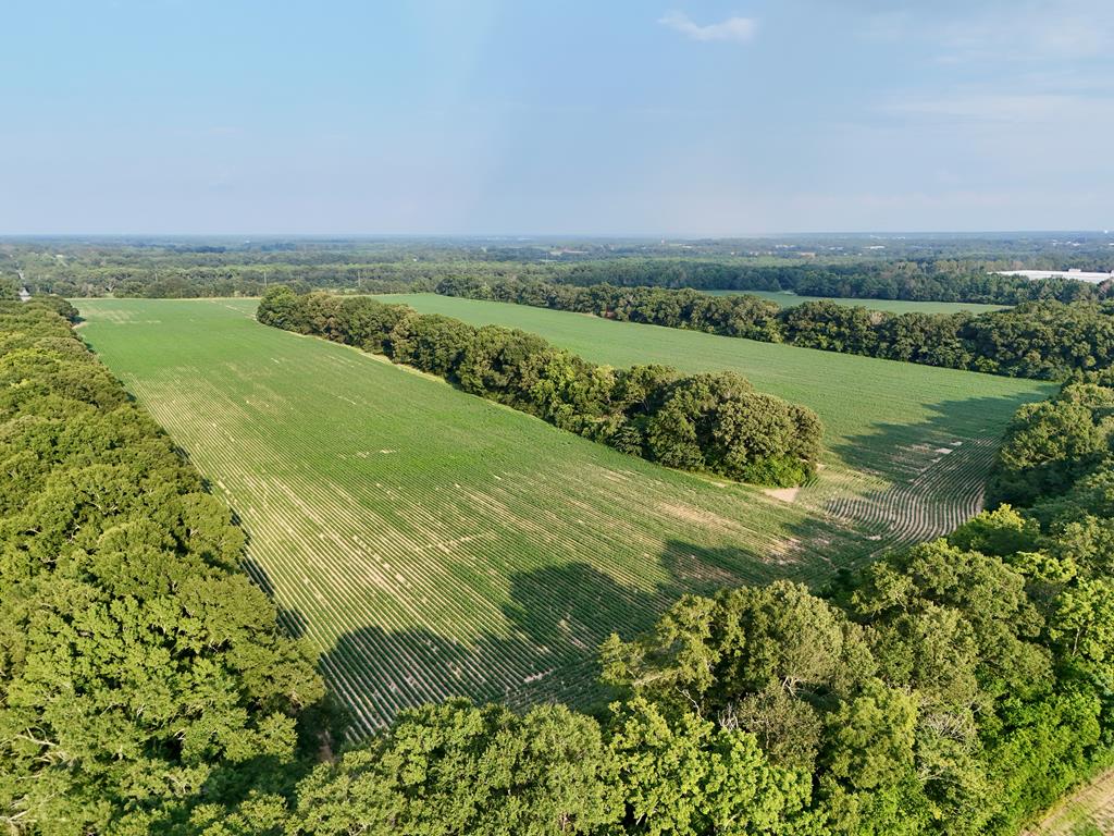 25 & Barrington Road Midland City, AL 36350 - Photo 8 of 21