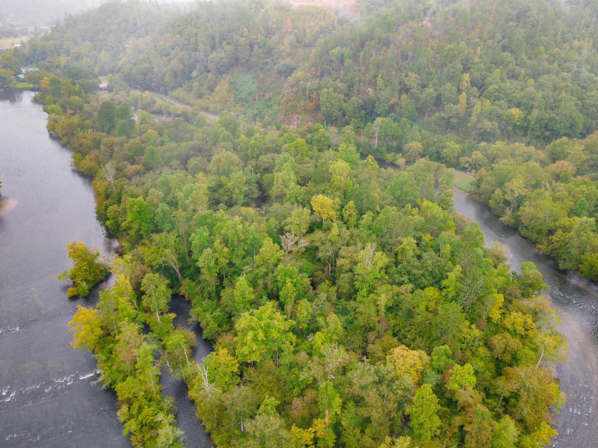 0 Ellis Creek Road Reliance, TN 37369 - Photo 33 of 52 Gallery Image 33