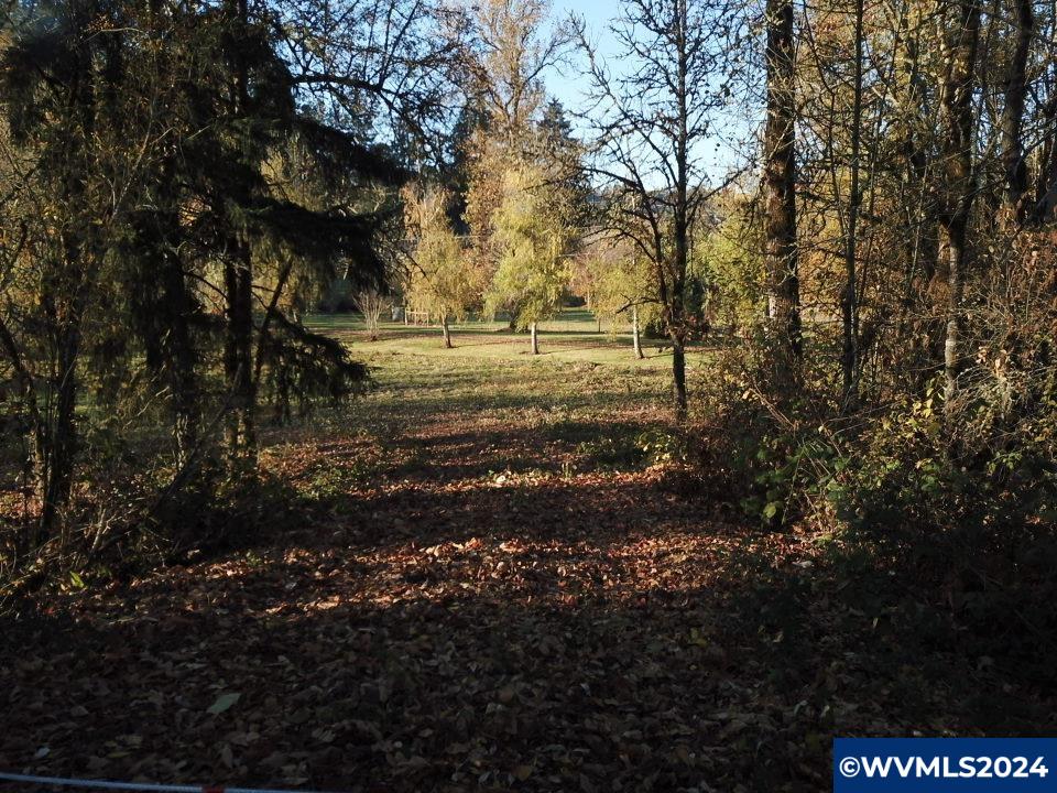 0 Brush College Road Northwest Salem, OR 97304 - Photo 7 of 7