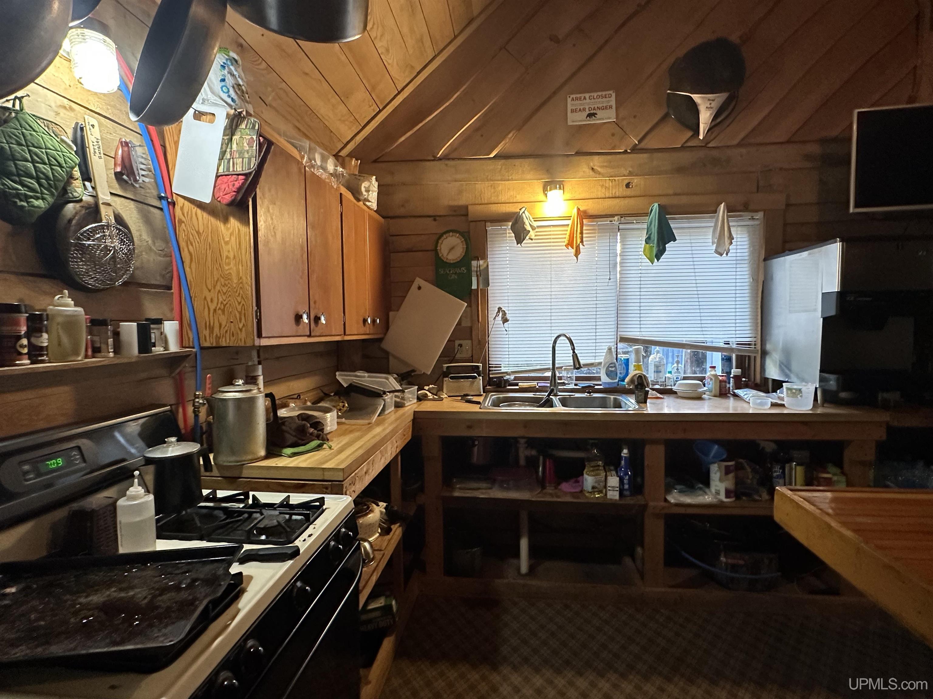 Off Forest Rd 250 Road Bergland, MI 49910 - Photo 5 of 17