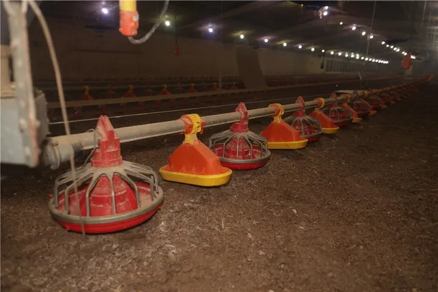 $3,350,000 | 1794 Lcr 752, Groesbeck, TX 76642