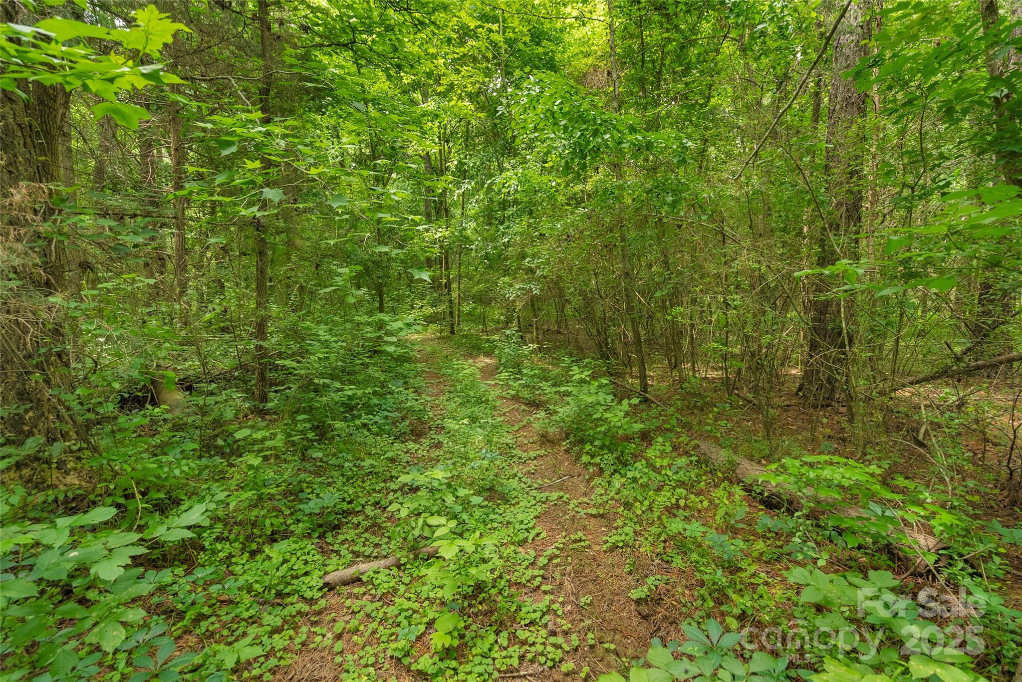 0 Lucy Short Cut Road, Unit 5 Marshville, NC 28103 - Photo 15 of 20