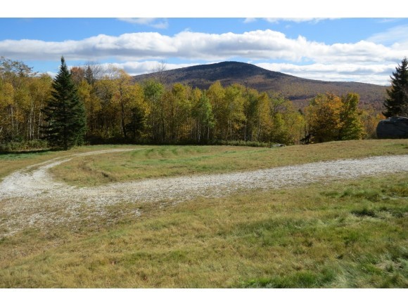 564 Hedgehog Hill Road South Mount Holly, VT 05730 - Photo 1 of 11