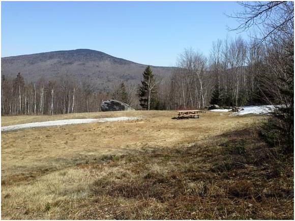 564 Hedgehog Hill Road South Mount Holly, VT 05730 - Photo 2 of 11