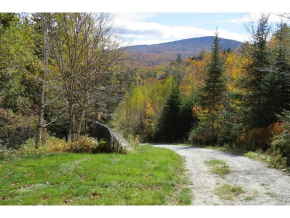 564 Hedgehog Hill Road South Mount Holly, VT 05730 - Photo 11 of 11