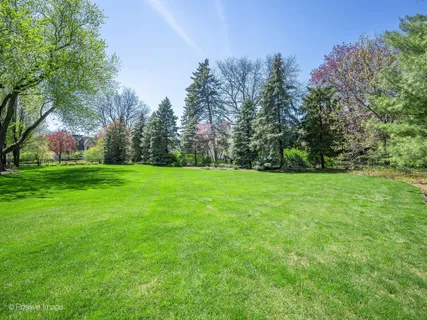 a view of a grassy field with trees