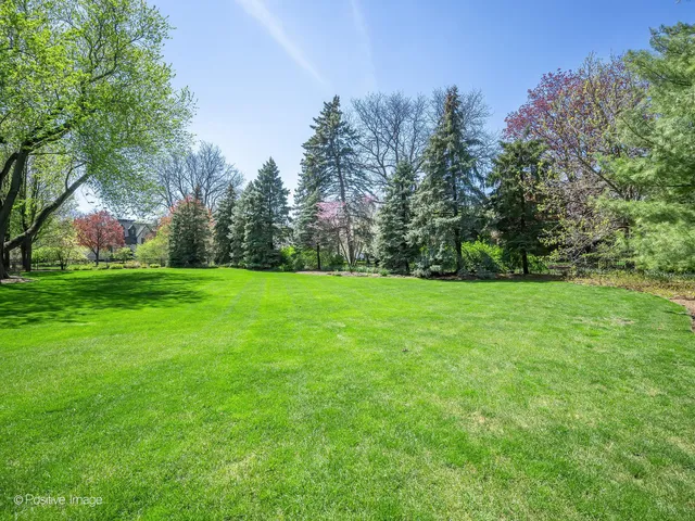 a view of a grassy field with trees