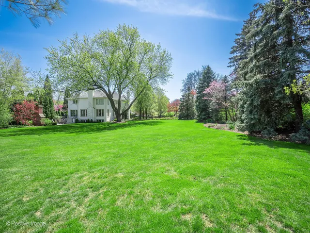 a view of a tree in front of a brick house with a big yard and large trees