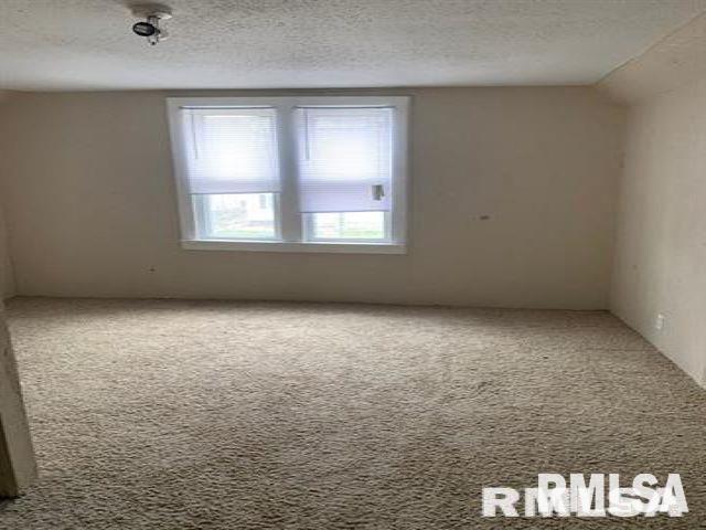 1818 South 13th Street Springfield, IL 62703 - Photo 9 of 11