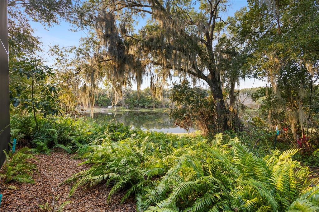 1136 West Glen Falls Road DeLand, FL 32720 - Photo 40 of 46