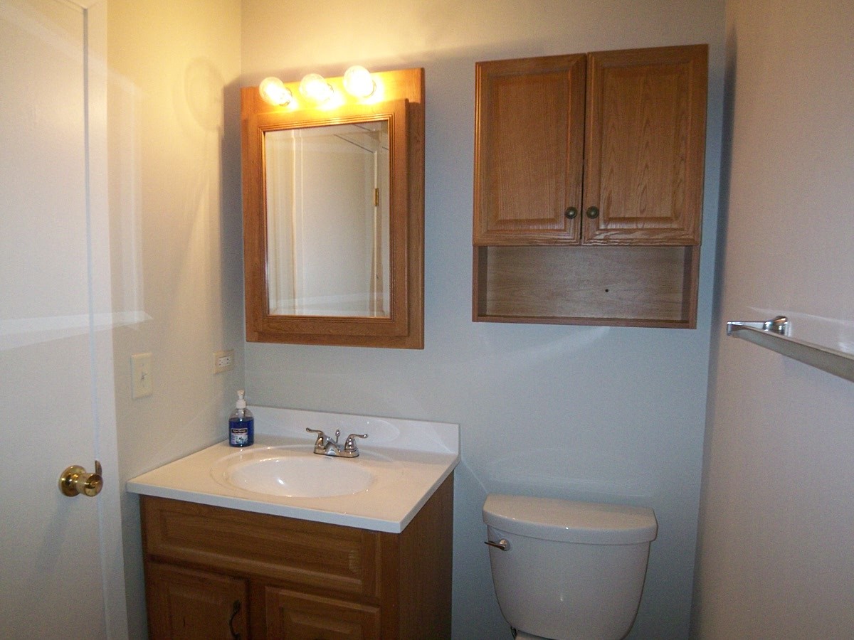249 Nantucket Harbor Schaumburg, IL 60193 - Photo 19 of 26 a bathroom with a toilet a sink and mirror