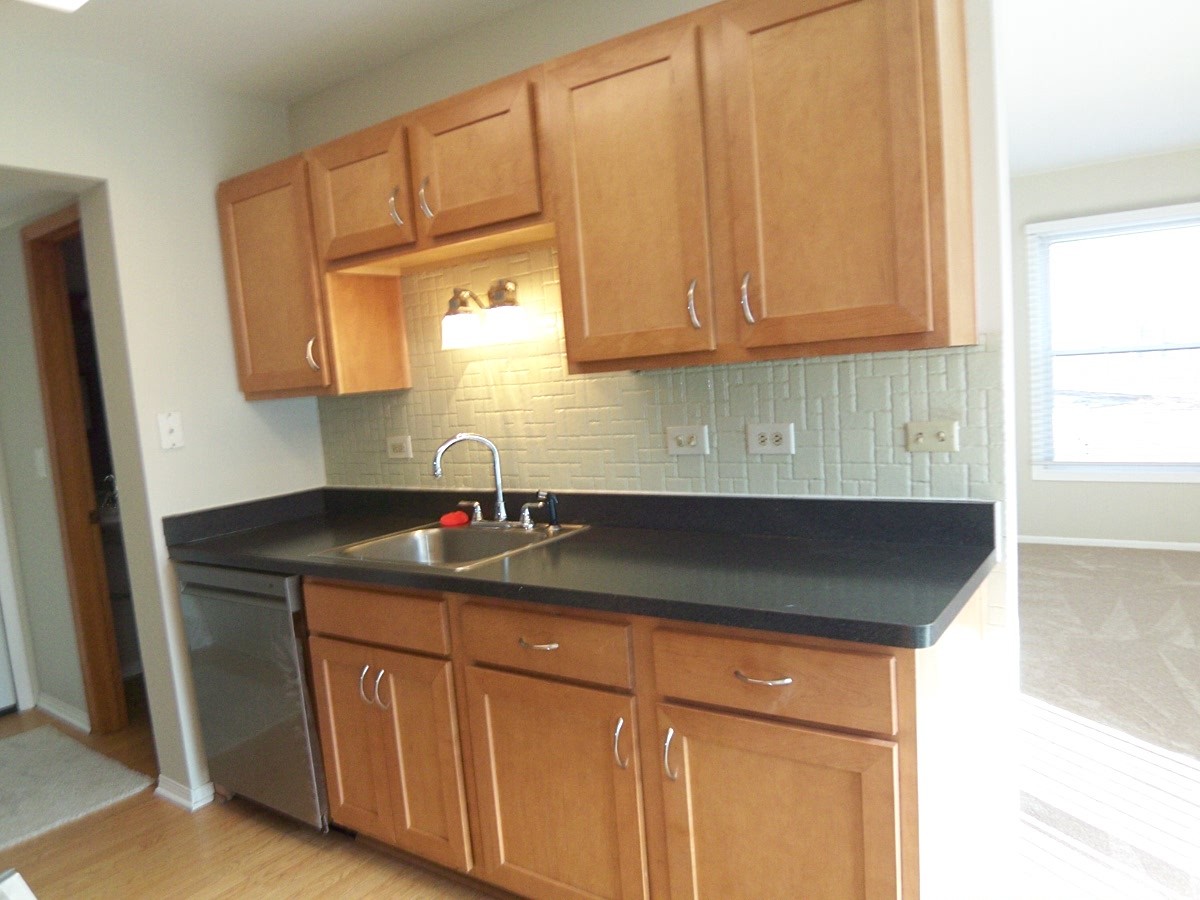 249 Nantucket Harbor Schaumburg, IL 60193 - Photo 9 of 26 a kitchen with granite countertop a sink a stove and cabinets