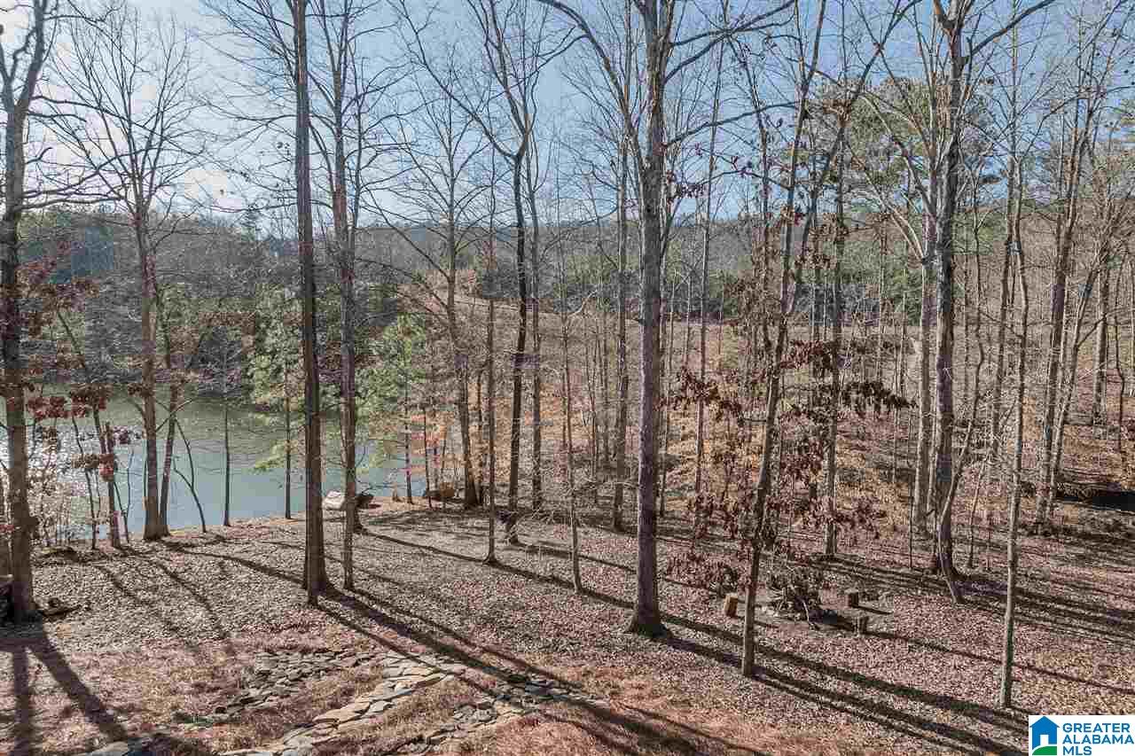 117 Fallow Circle Chelsea, AL 35043 - Photo 43 of 47