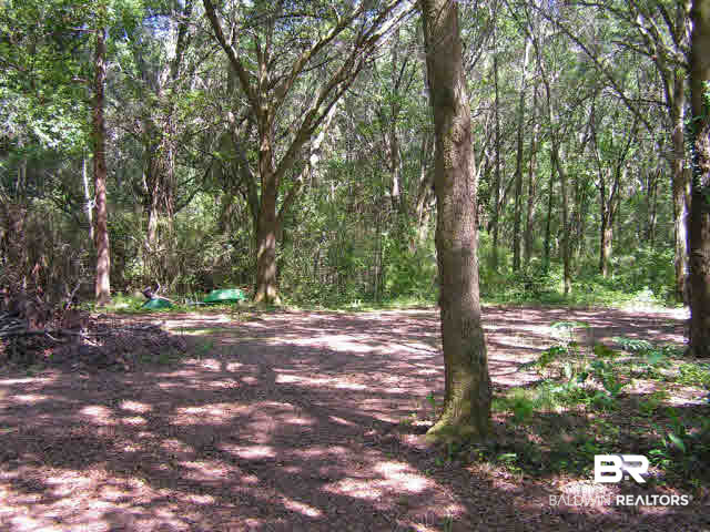 17246 Harry Jones Road Summerdale, AL 36580 - Photo 16 of 17 backyard