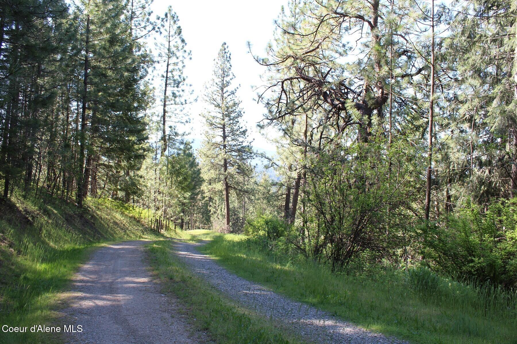 881-2714 South Allen Road Coeur D'Alene, ID 83814 - Photo 6 of 54 Haven Road