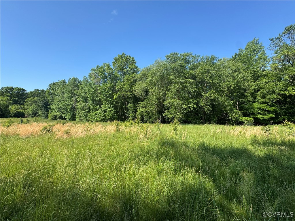 0 Old Hanover Road Sandston, VA 23150 - Photo 1 of 6 Gallery Image 1