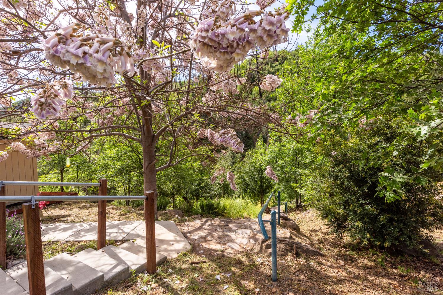 12127 Mead Road Middletown, CA 95461 - Photo 33 of 36