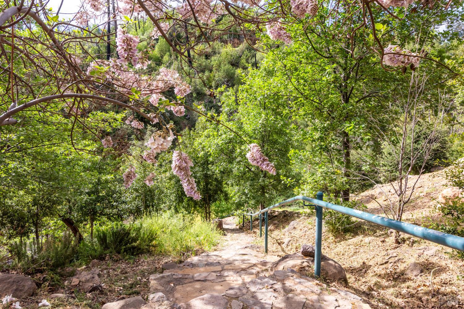 12127 Mead Road Middletown, CA 95461 - Photo 34 of 36