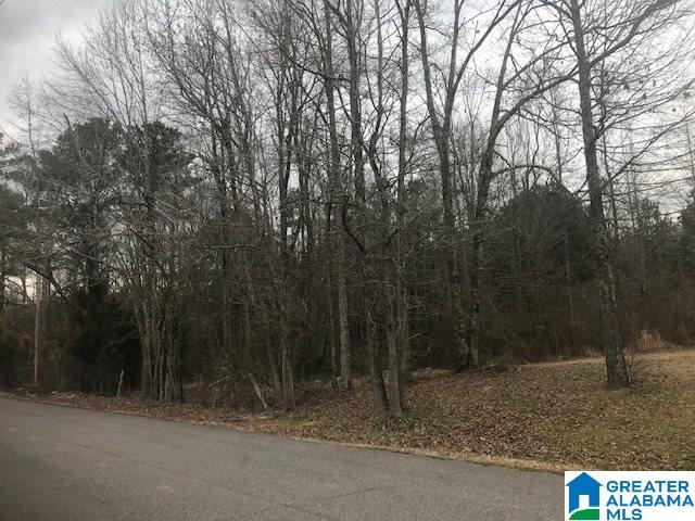 3 Cannie Phillips Road, Unit ACERAGE Sumiton, AL 35148 - Photo 4 of 4