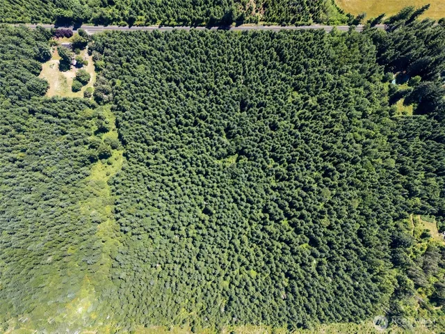 a view of a green space