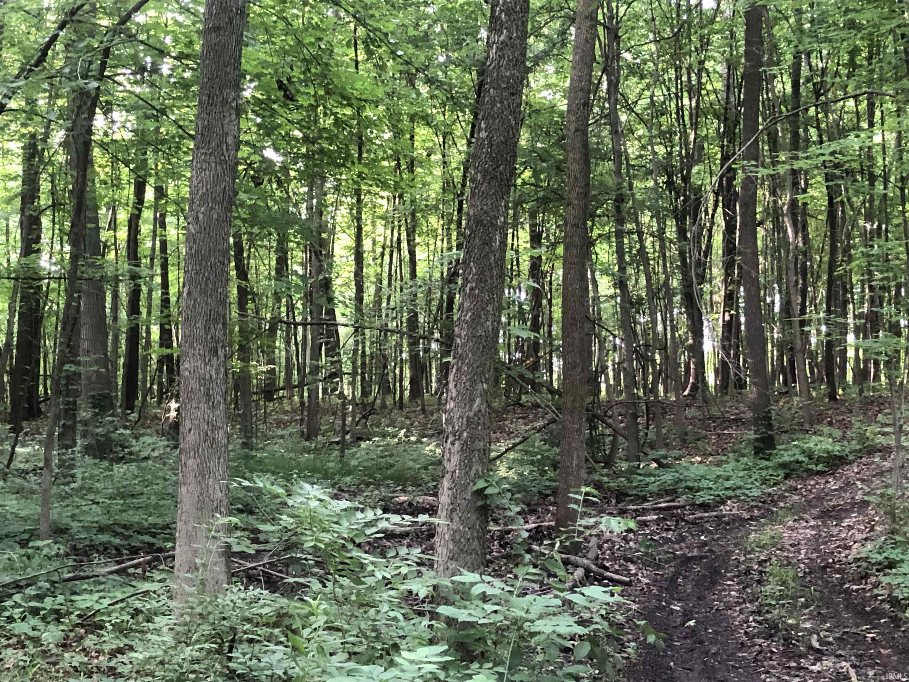 9567 North River Road New Haven, IN 46774 - Photo 4 of 7