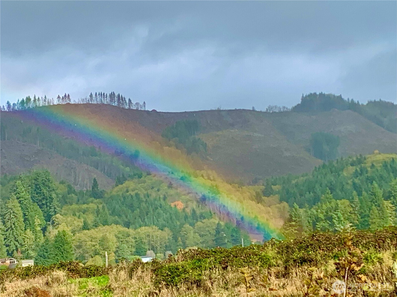 58 Alger Creek Heights Road Cathlamet, WA 98612 - Photo 37 of 40 a view of a lake in middle of a field