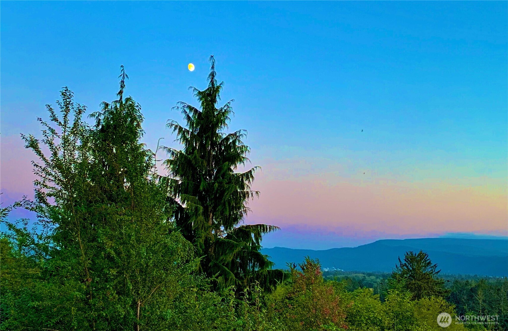 58 Alger Creek Heights Road Cathlamet, WA 98612 - Photo 39 of 40 a view of a city