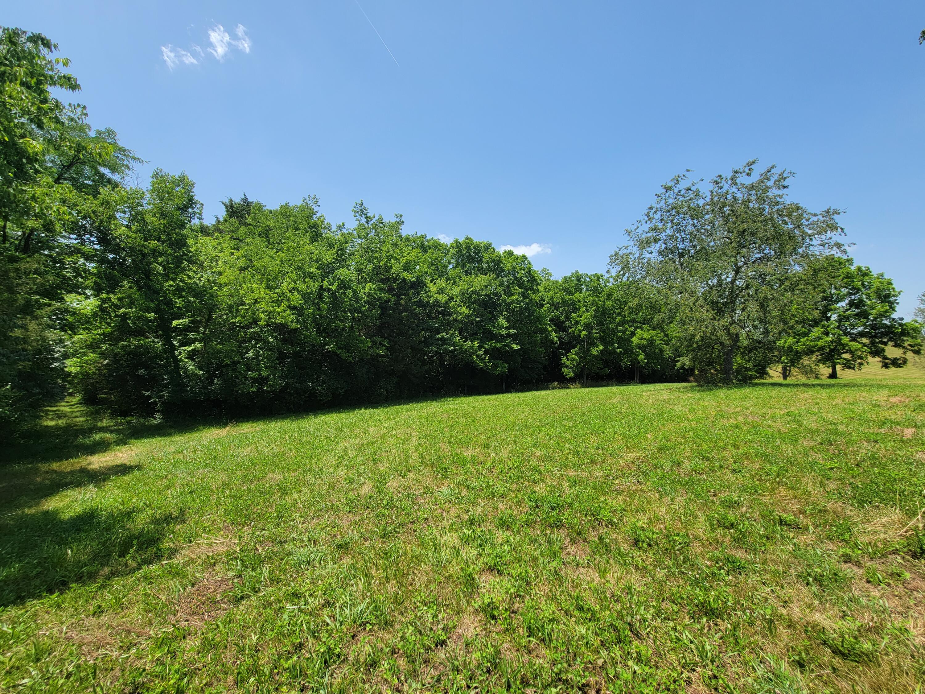 4897 Fords Mill Road Versailles, KY 40383 - Photo 42 of 52 20220615_132711