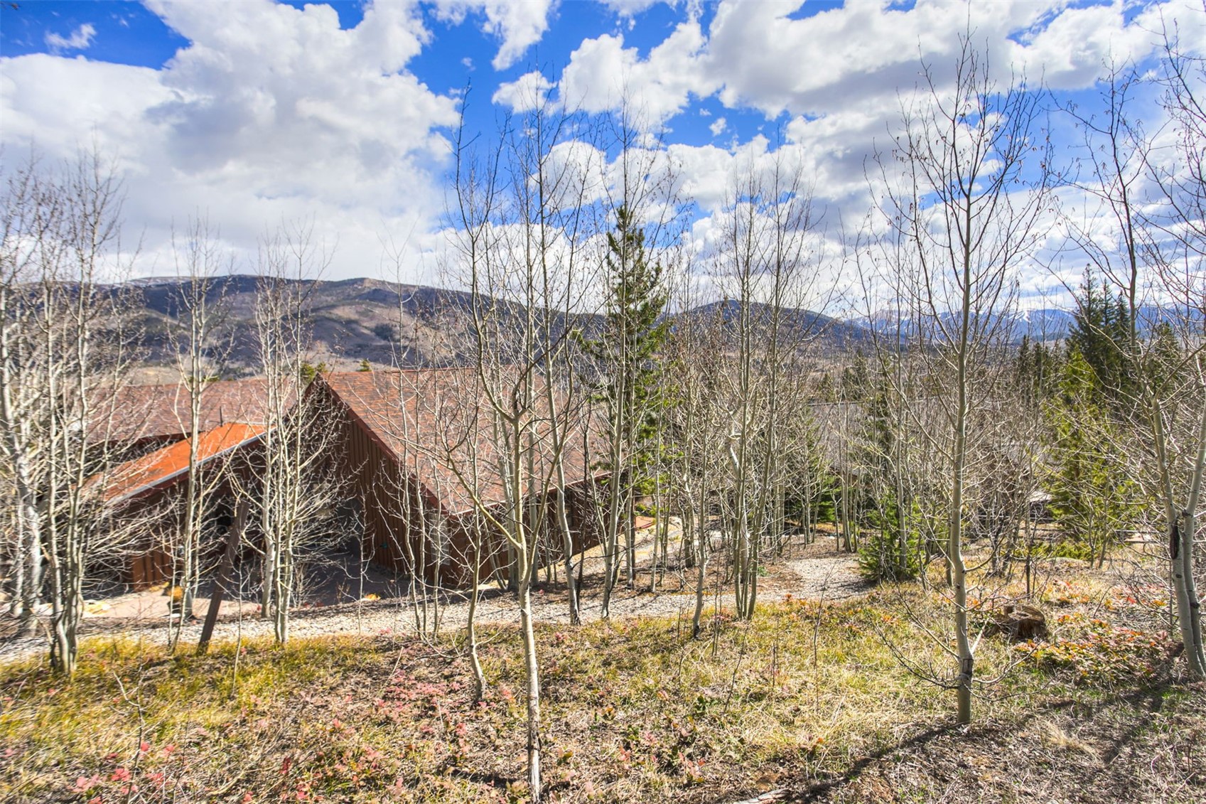 727 Willowbrook Road Silverthorne, CO 80498 - Photo 39 of 47 Back west side of house