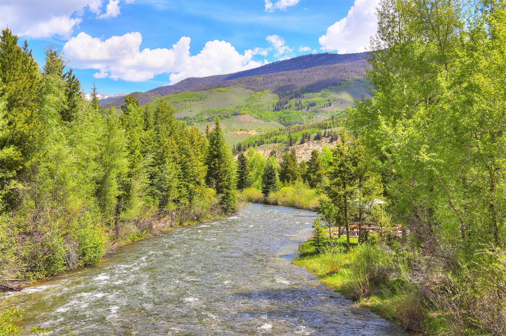 727 Willowbrook Road Silverthorne, CO 80498 - Photo 46 of 47 View of mountain background featuring a forest area at nearby blue River