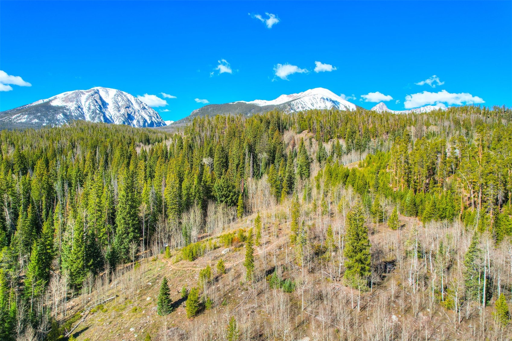 727 Willowbrook Road Silverthorne, CO 80498 - Photo 47 of 47 View of mountain background featuring a forest