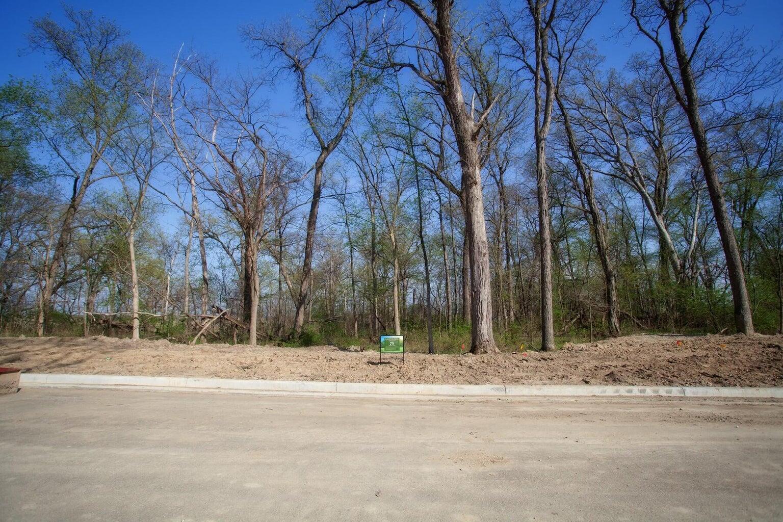 16617 Noble Street Lowell, IN 46356 - Photo 1 of 6 a view of road and trees