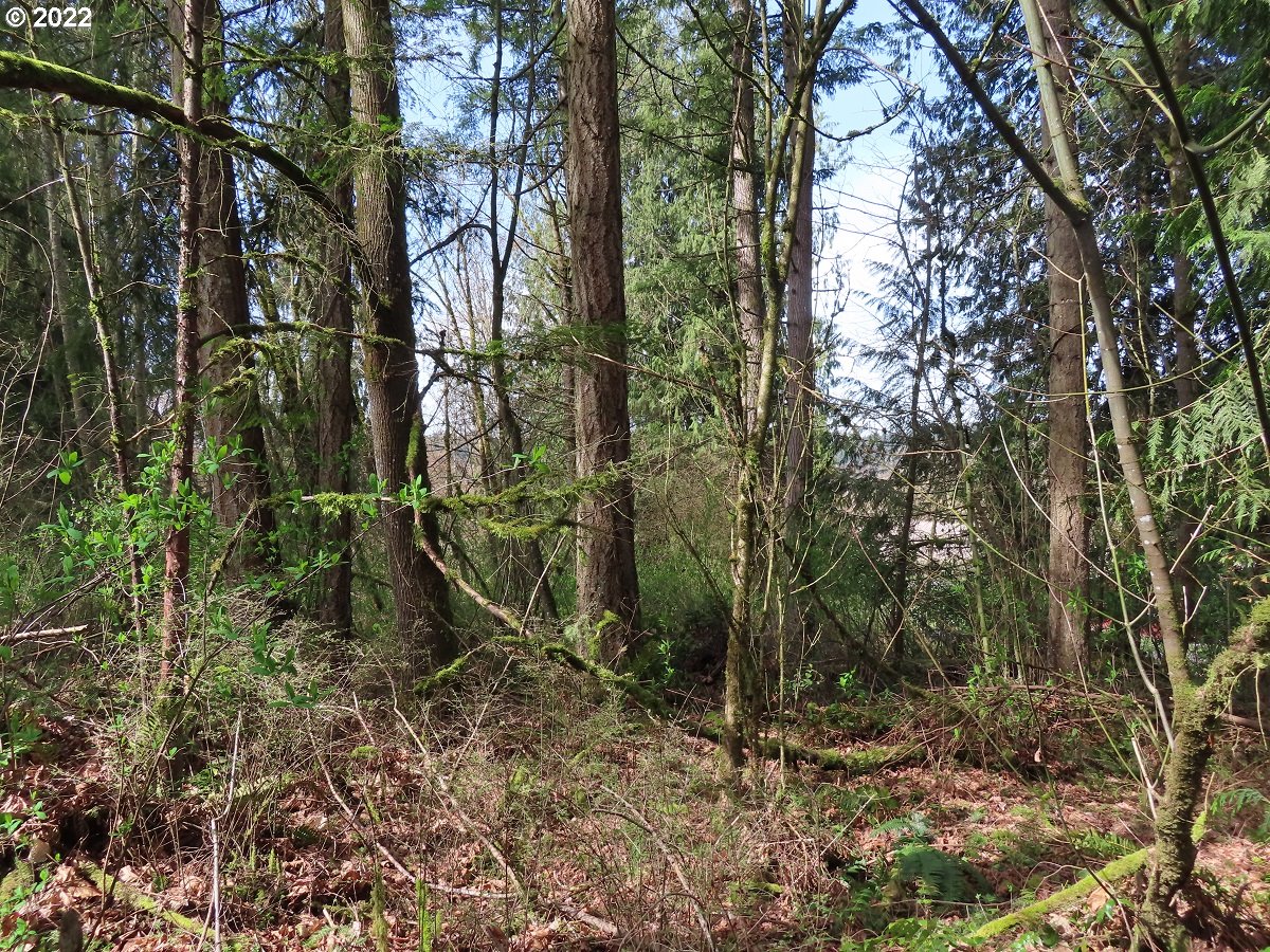 Templin Road Roy, WA 98580 - Photo 3 of 25 Gallery Image 3