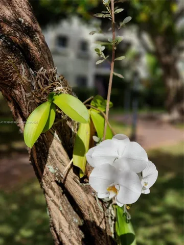 $235,000 | 3004 Northeast 5th Terrace, Unit 214C, Wilton Manors, FL 33334