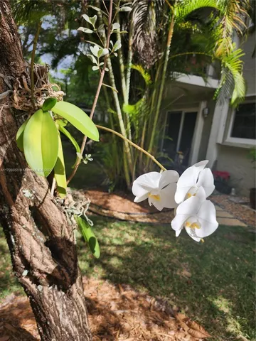 $235,000 | 3004 Northeast 5th Terrace, Unit 214C, Wilton Manors, FL 33334