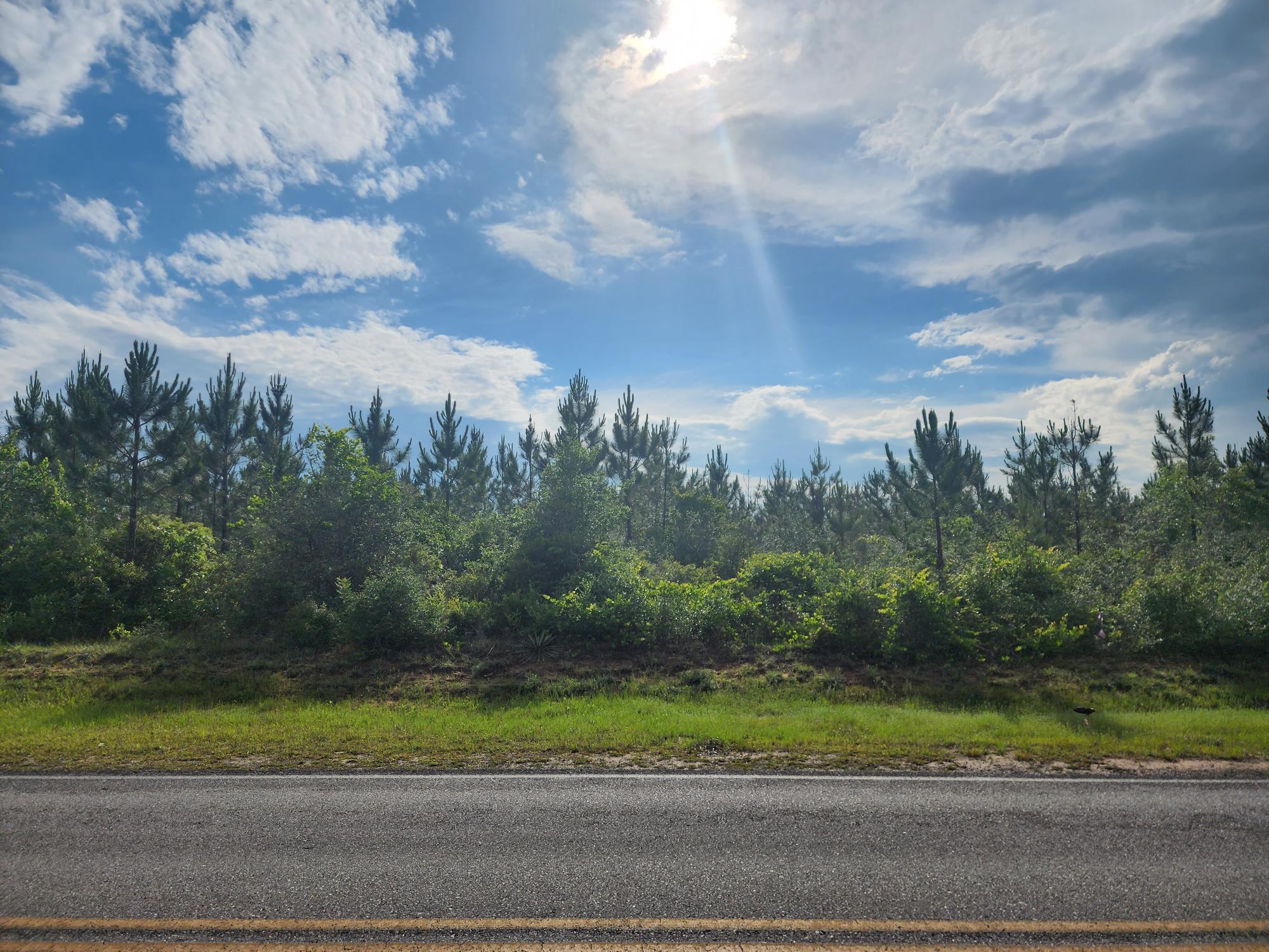 12 Long Road DeFuniak Springs, FL 32433 - Photo 1 of 2 Long Road Parcel 12