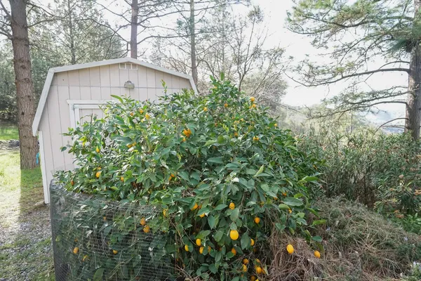 $520,000 | 269 Montgomery Drive, Mokelumne Hill, CA 95245