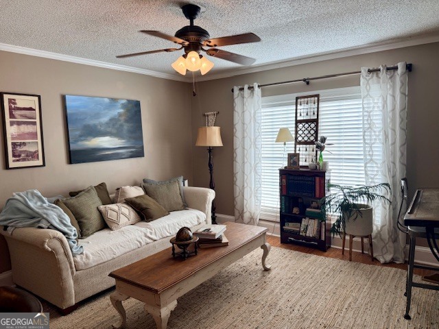 968 St Mathews Church Road Metter, GA 30439 - Photo 15 of 35 a living room with furniture a flat screen tv and a window