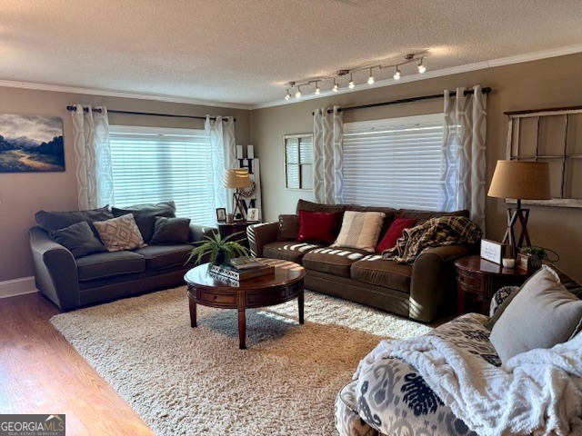 968 St Mathews Church Road Metter, GA 30439 - Photo 9 of 35 a living room with furniture and a window