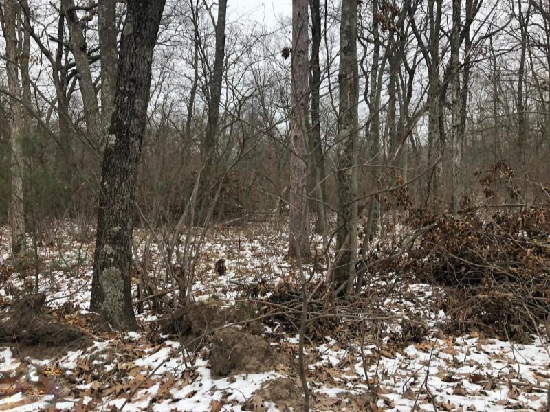 Lorenson Road Montague, MI 49437 - Photo 4 of 5 20181211212350519820000000-o