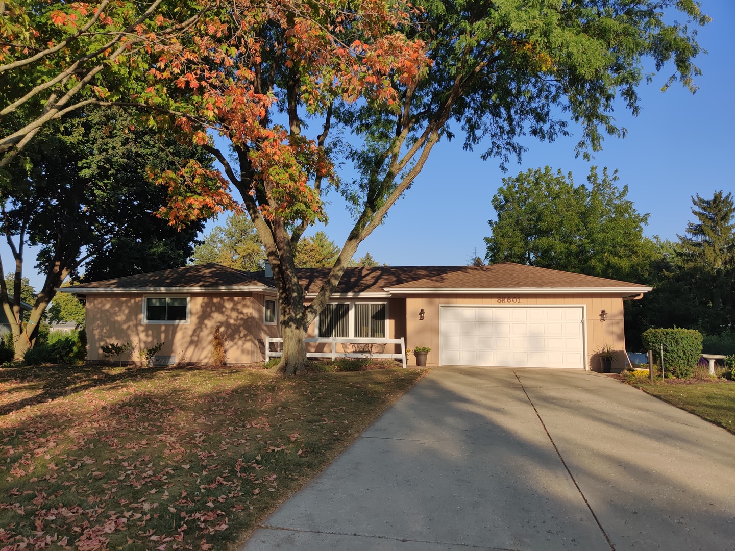 a view of a white house with a large tree