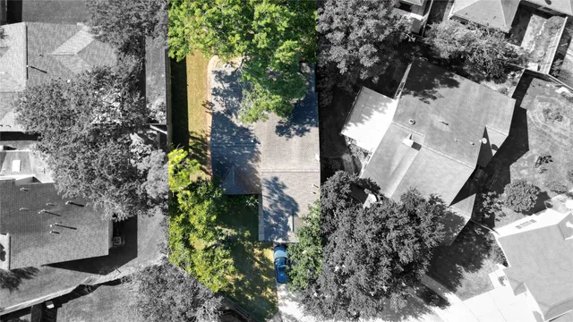 a plant that is sitting in a garden