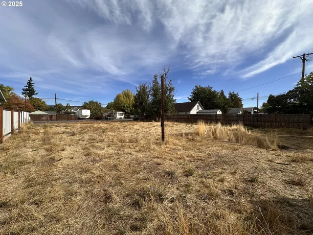 a view of outdoor space and yard