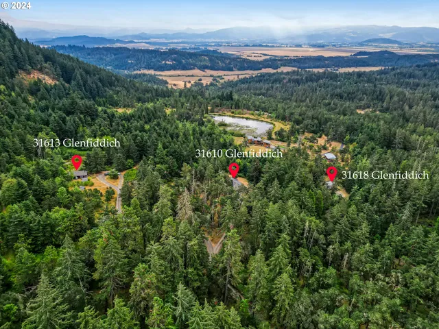 a view of a flower in a field