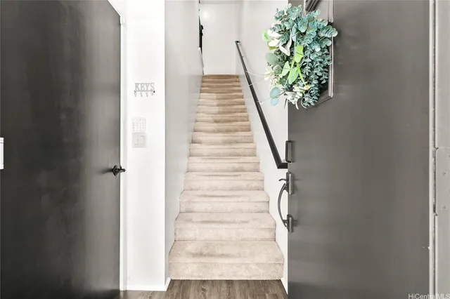 a potted plant sitting in front of a door