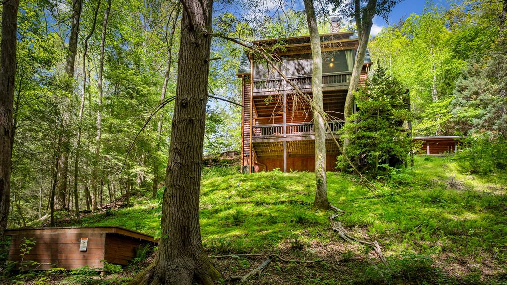 180 Down Under Road Blue Ridge, GA 30513 - Photo 43 of 50 Gallery Image 43