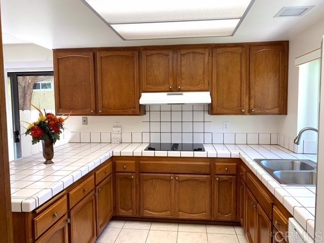 1955 Avenida La Posta Encinitas, CA 92024 - Photo 5 of 20