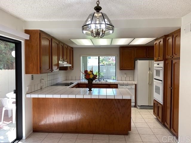 1955 Avenida La Posta Encinitas, CA 92024 - Photo 6 of 20