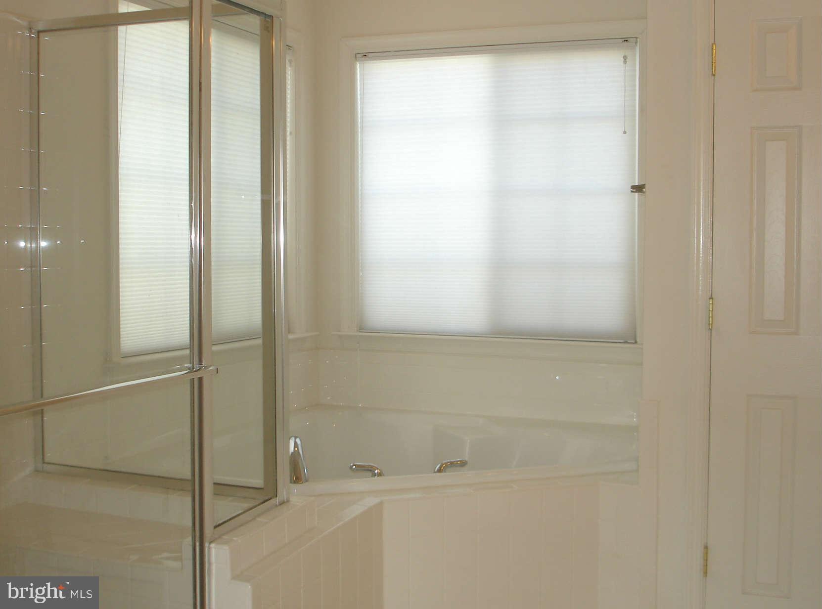 739 Blossom Tree Road Culpeper, VA 22701 - Photo 8 of 15 Jacuzzi soaking tub & separate glass encl. shower