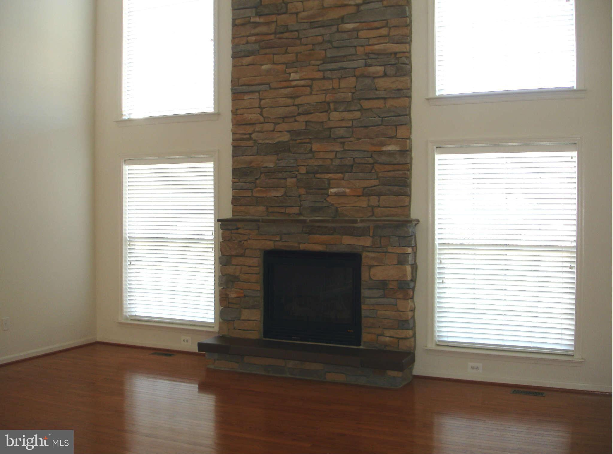 739 Blossom Tree Road Culpeper, VA 22701 - Photo 10 of 15 Great Room w/ 2-story fieldstone fireplace